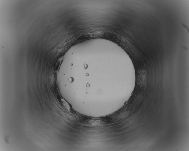 X0000100870604200807111319