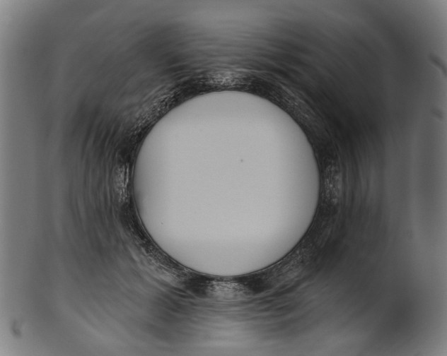 X0000100870605200807111319