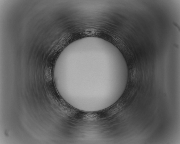 X0000100870606200807111319