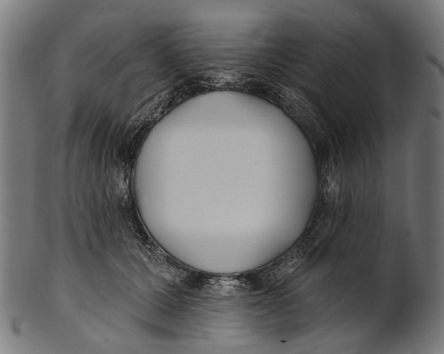 X0000100870607200807111319