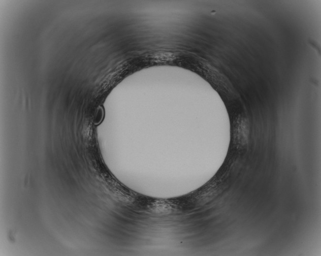 X0000100870608200807111319