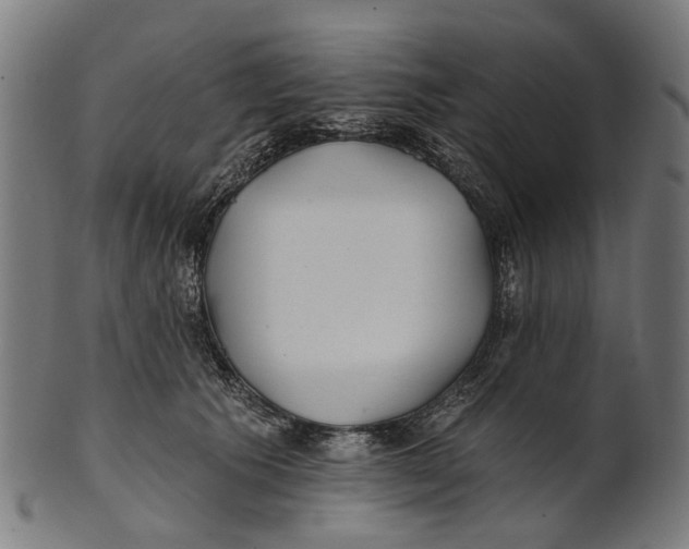 X0000100870609200807111319