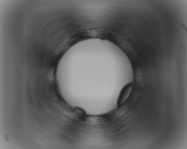 X0000100870611200807111319