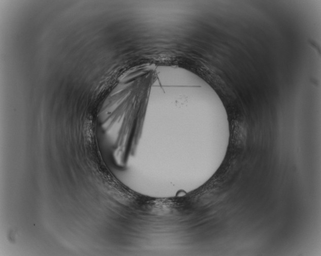 X0000100870612200807111319