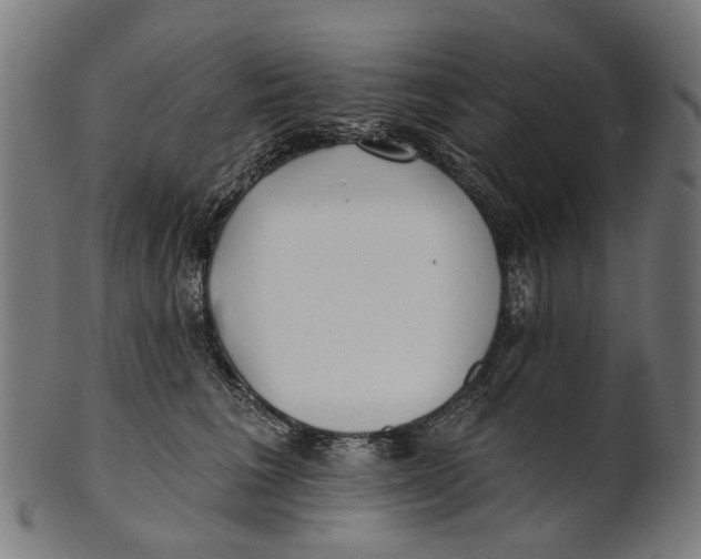 X0000100870613200807111319