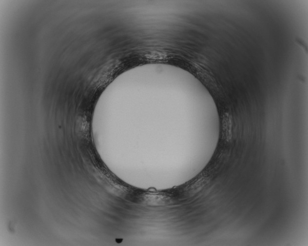 X0000100870614200807111319