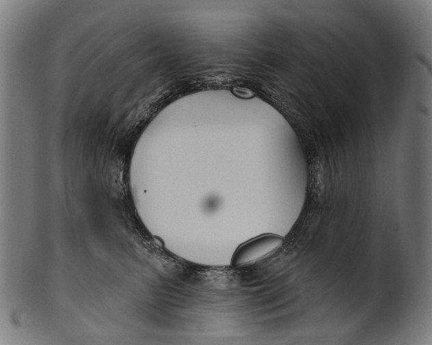 X0000100870615200807111319