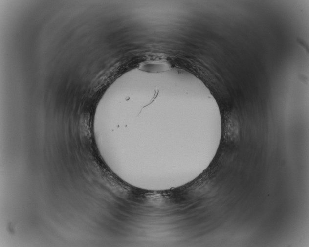 X0000100870616200807111319