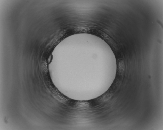 X0000100870617200807111319