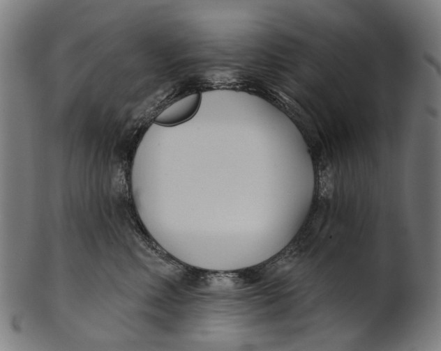 X0000100870618200807111319