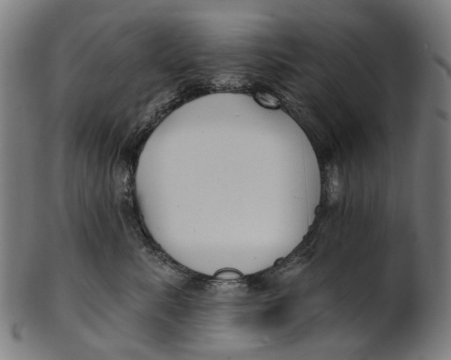 X0000100870619200807111319