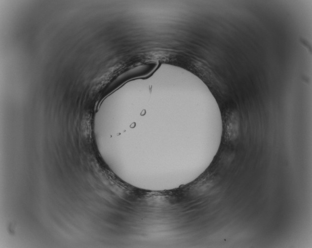 X0000100870620200807111319