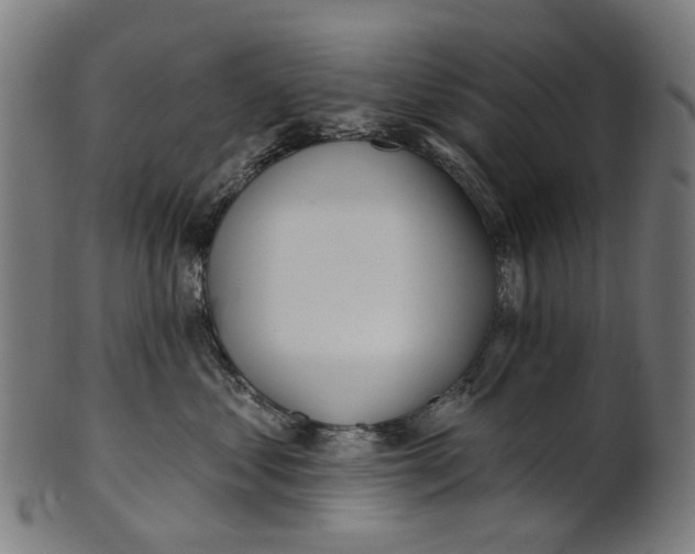 X0000100870621200807111319