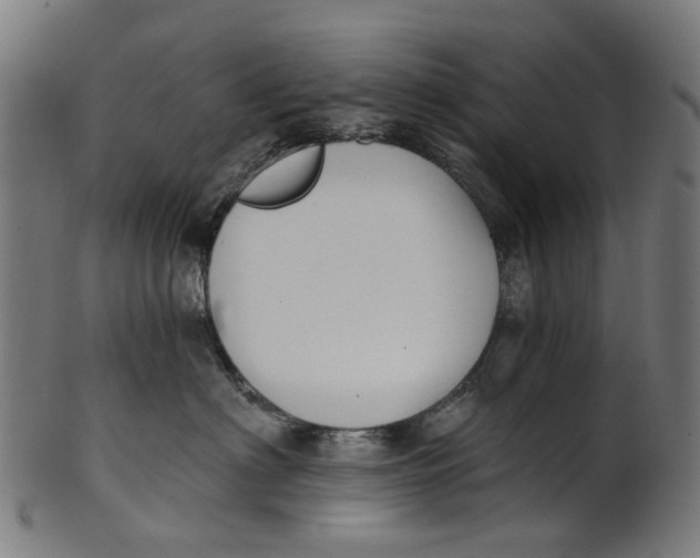 X0000100870622200807111319