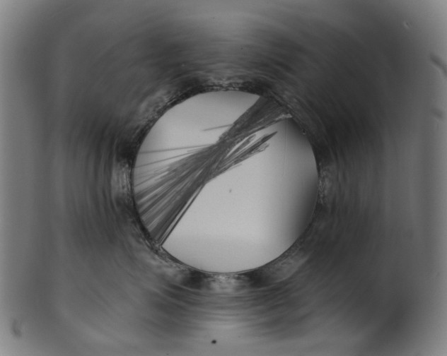 X0000100870623200807111319