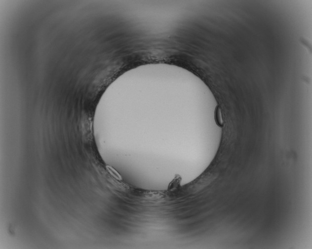 X0000100870624200807111319