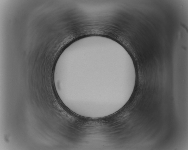 X0000100870625200807111318