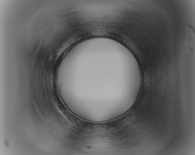 X0000100870626200807111318