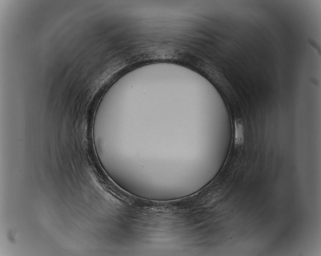 X0000100870627200807111318