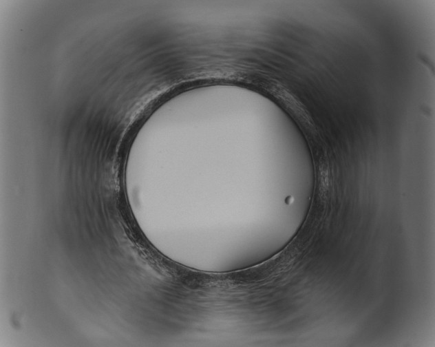 X0000100870628200807111318