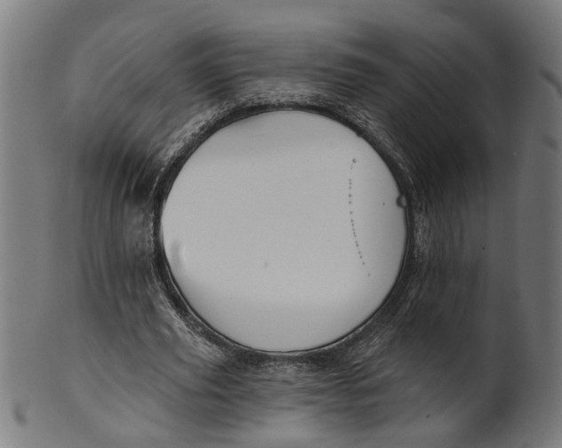 X0000100870629200807111318