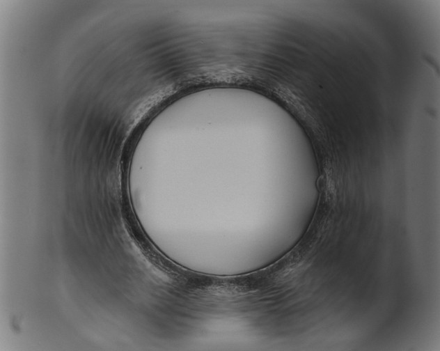 X0000100870630200807111319