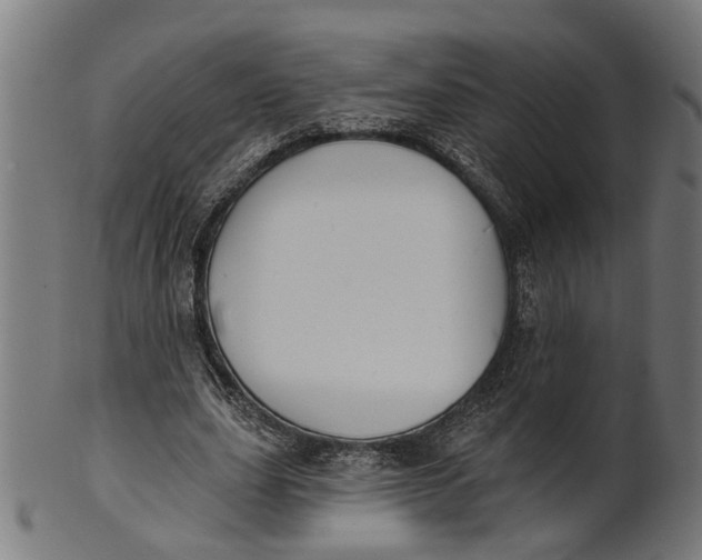 X0000100870631200807111319