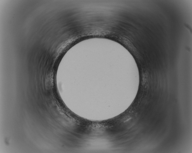 X0000100870632200807111319