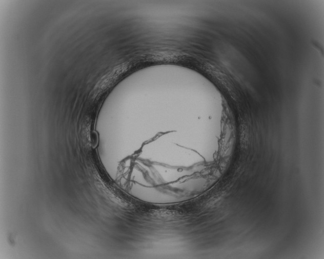 X0000100870633200807111319