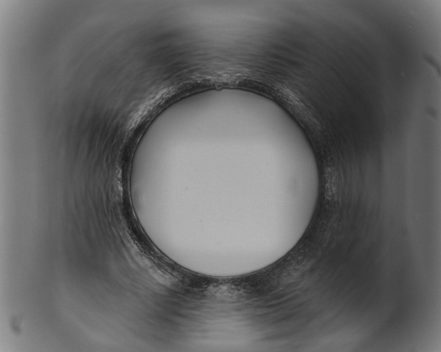 X0000100870634200807111319