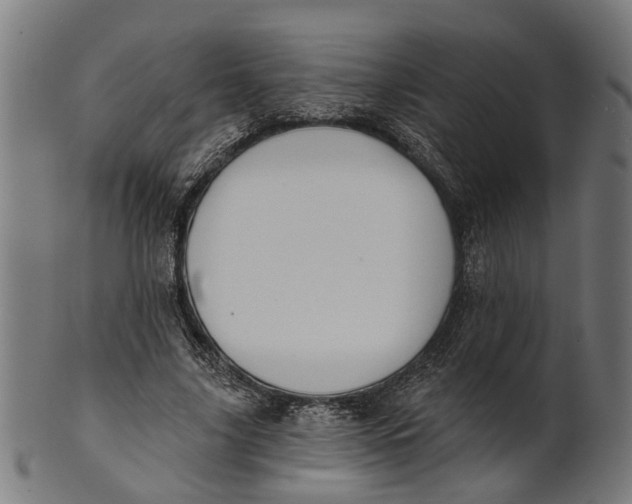 X0000100870635200807111319