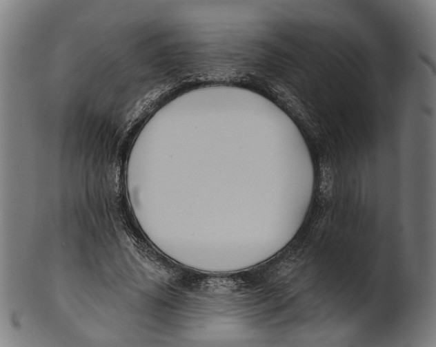 X0000100870636200807111319