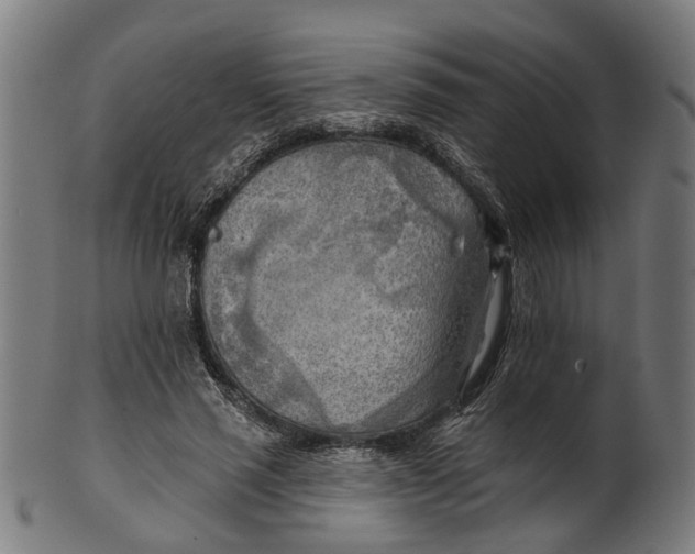 X0000100870637200807111319