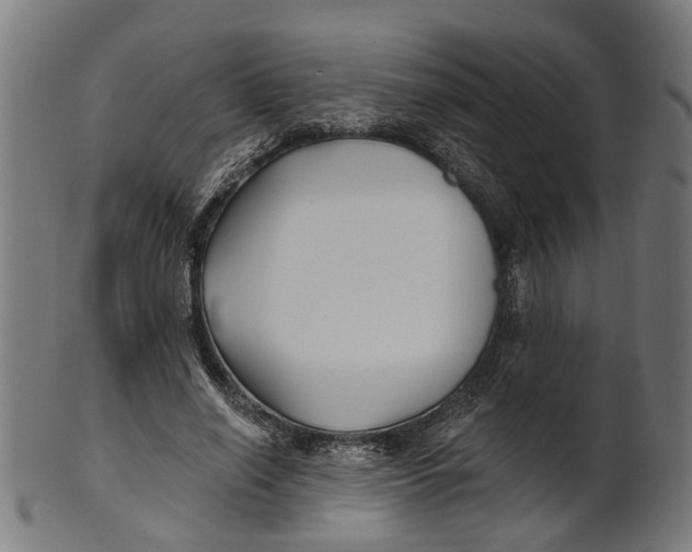 X0000100870638200807111319