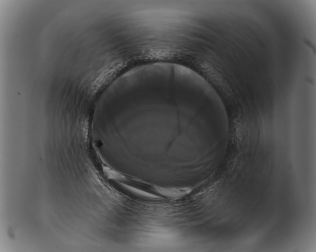 X0000100870640200807111319