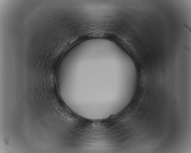 X0000100870641200807111319