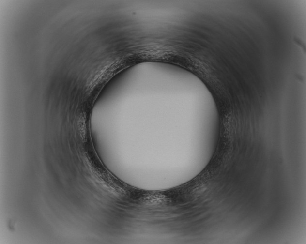 X0000100870642200807111319