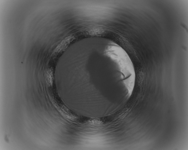 X0000100870644200807111319