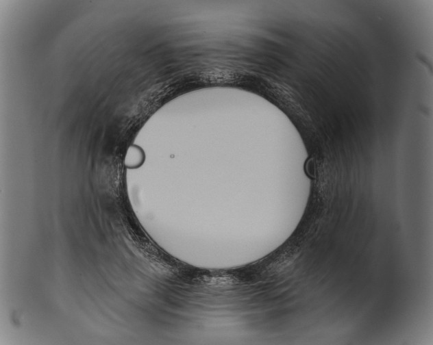 X0000100870645200807111319