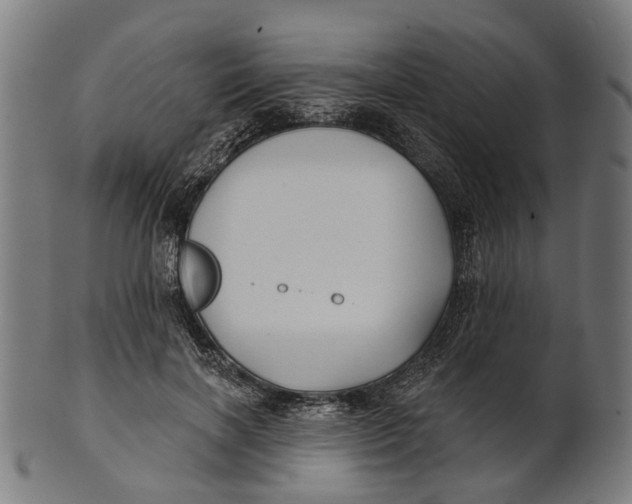 X0000100870646200807111319