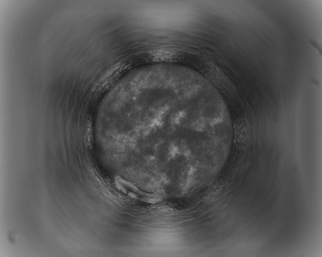 X0000100870648200807111319