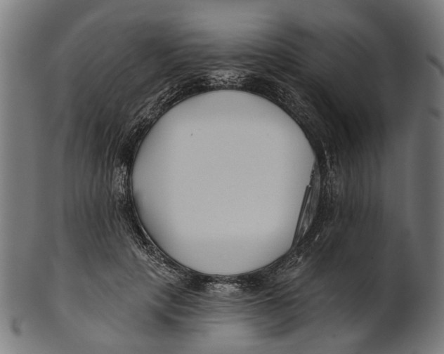 X0000100870649200807111319