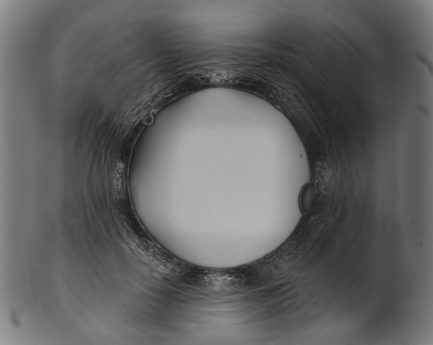 X0000100870650200807111319