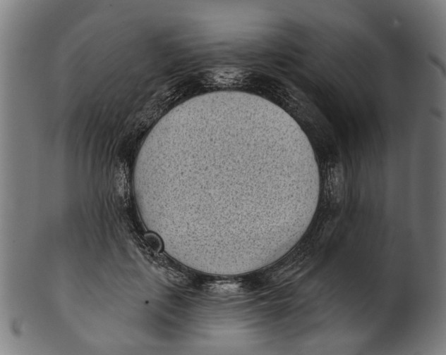 X0000100870651200807111319