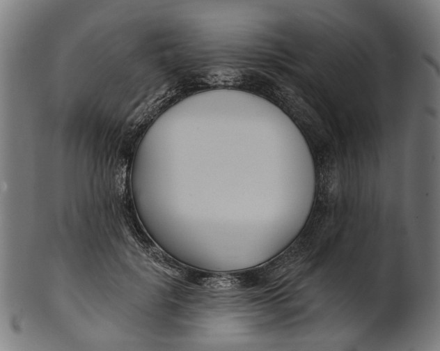 X0000100870652200807111319