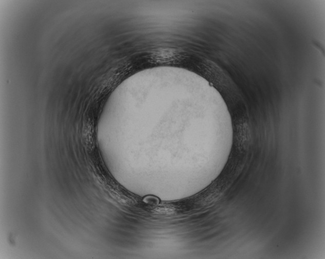 X0000100870653200807111319