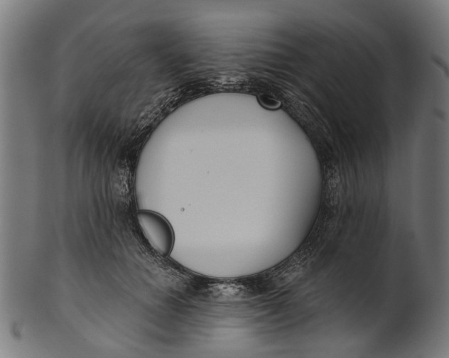 X0000100870654200807111319