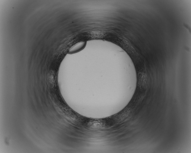 X0000100870655200807111319