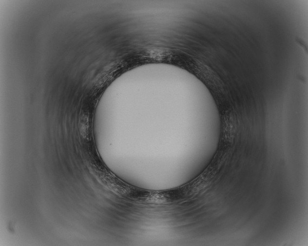 X0000100870656200807111319