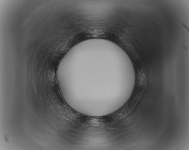 X0000100870657200807111319